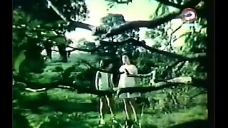 Darna together with the Giants (1973)